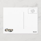 Carte Postale Bateau pirate des Caraïbes (Dos)