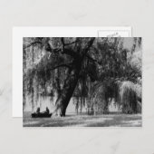 Carte Postale Bateaux à roulettes du parc Central (Devant / Derrière)