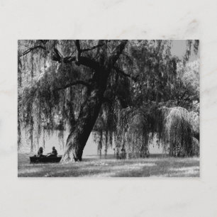 Carte Postale Bateaux à roulettes du parc Central