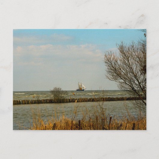 Carte Postale Bateaux à voile hollandais sur l'Ijselmeer (Devant)