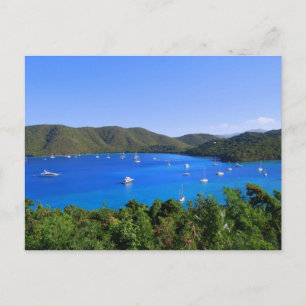 Carte Postale Bateaux à voile, Maho Bay, St. John, U.S.V.I. Cart