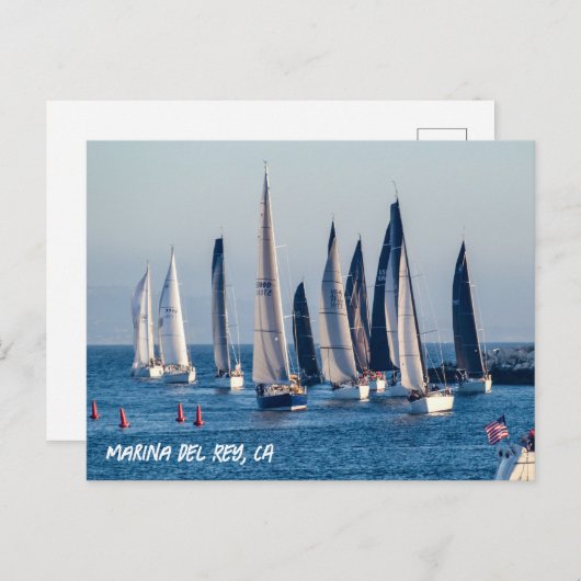 Carte Postale Bateaux à voiles - Marina Del Rey, CA (Devant / Derrière)