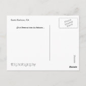 Carte Postale Bateaux dans le port (Dos)