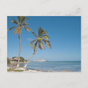 Carte Postale Bateaux de croisière à Costa Maya