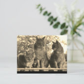 Carte postale: Bateaux de ferme (Debout devant)