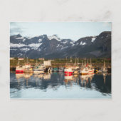 Carte Postale Bateaux de pêche norvégiens (Devant)