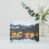 Carte Postale Bateaux de pêche norvégiens (Debout devant)