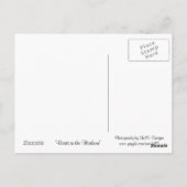 Carte Postale Bateaux de Vancouver Canada (Dos)