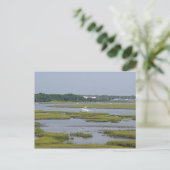 Carte Postale Bateaux du lac (Debout devant)