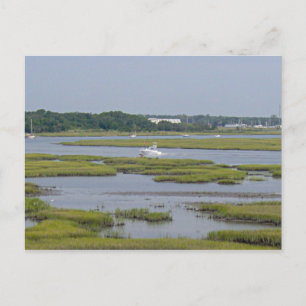 Carte Postale Bateaux du lac