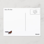 Carte Postale Bateaux du port de Bar à Sunrise II (Dos)