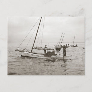 Carte Postale Bateaux Huîtriers, 1903
