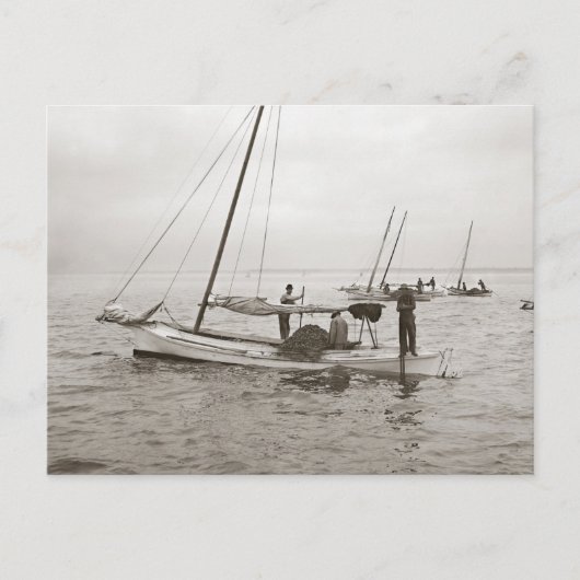 Carte Postale Bateaux Huîtriers, 1903 (Devant)
