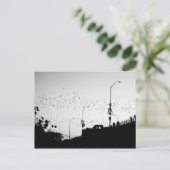 Carte Postale Bateaux sur Austin (Debout devant)