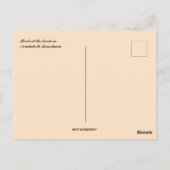 Carte Postale Bateaux sur une plage à Nouakchott Mauritanie (Dos)