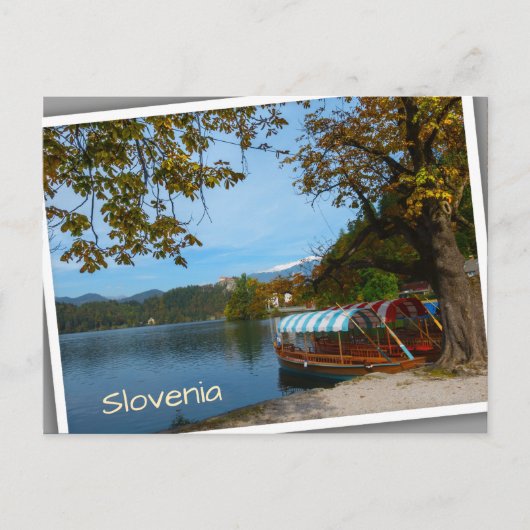 Carte Postale Bateaux touristiques dans le lac Bled en automne (Devant)