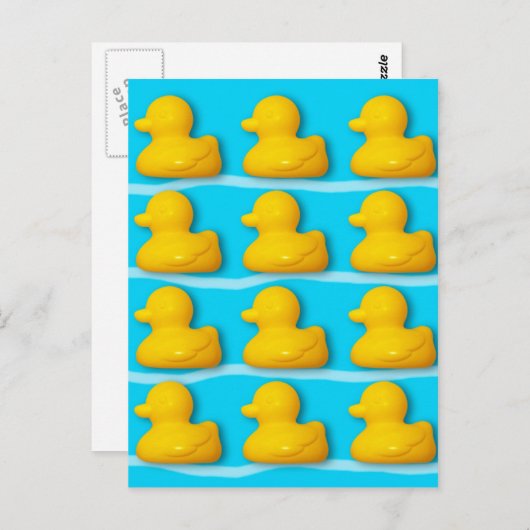 Carte Postale Bath Ducks (Devant / Derrière)