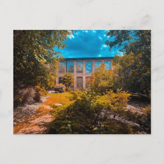 Carte Postale Bâtiment en briques envahi par la nature (Devant)