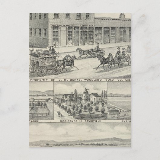 Carte Postale Bâtiment forestier, ferme du comté de Yolo (Devant)