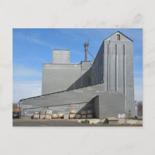 Carte Postale Bâtiment Templeton Feed and Grain