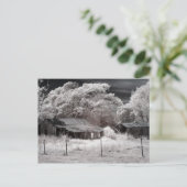 Carte Postale Bâtiments pittoresques (Debout devant)