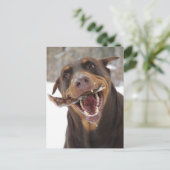 Carte Postale bâton (Debout devant)