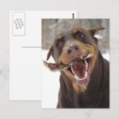 Carte Postale bâton (Devant / Derrière)