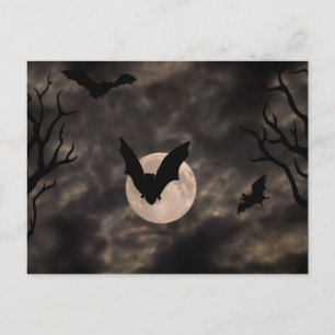 Carte Postale Bats Halloween de nuit Éffrayante