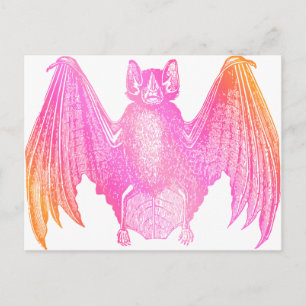 Carte Postale Batte colorée