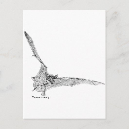 Carte Postale Batterie libre (Devant)