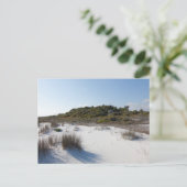 Carte Postale Batteries d'armes à feu Fort Pickens (Debout devant)