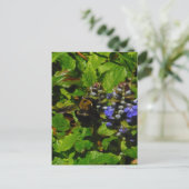 Carte Postale Baume d'abeille pourpre et bourdon (Debout devant)