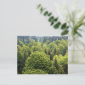 Carte Postale Bayerischer Wald (Debout devant)