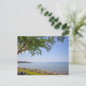 Carte Postale Bayfront Park, Petoskey, Michigan (Debout devant)