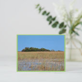 Carte Postale Bayhead à Sawgrass (Debout devant)