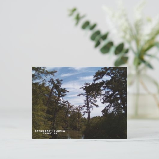 Carte Postale Bayou Batholomew, Tarry, AR (Debout devant)