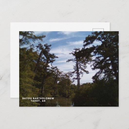 Carte Postale Bayou Batholomew, Tarry, AR (Devant / Derrière)