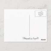 Carte postale BC Canada (Dos)