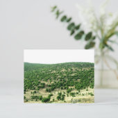 Carte Postale Bcharre, Liban (Debout devant)