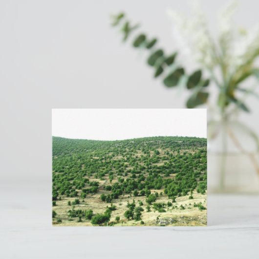 Carte Postale Bcharre, Liban (Debout devant)