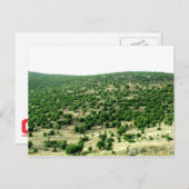 Carte Postale Bcharre, Liban (Devant / Derrière)