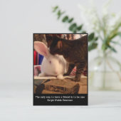 Carte Postale Be a Friend Postcard (Debout devant)