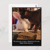 Carte Postale Be a Friend Postcard (Devant / Derrière)