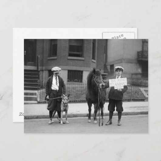 Carte Postale Be Kind to Animals Week, 1923 (Devant / Derrière)