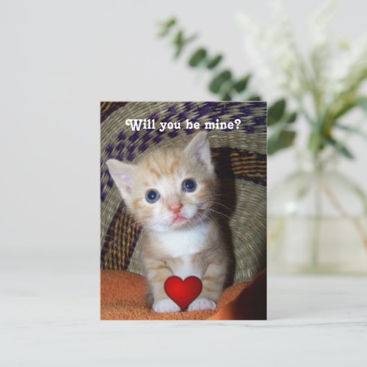Carte Postale Be Mine Kitten (Debout devant)