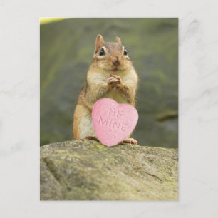 Carte postale Be Mine Little Chipmunk