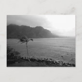 Carte postale "Beach Front" (Devant)