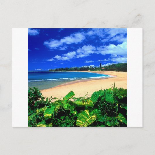 Carte Postale Beach Kauai Hawaii (Devant)
