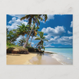 Carte Postale Beach Ocean Photo 168