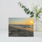 Carte postale Beach Ocean Sunset (Debout devant)